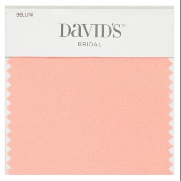 END OF SUMMER
 SALE! Sz 10 Peach Bellini 2-Tiered Chiffon Halter Gown - Picture 10 of 12